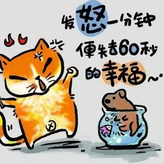 排行1
